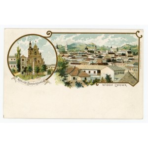 Lvov - Bernardinský kostel a celkový pohled (240)