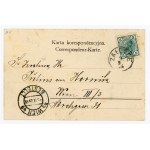 Załoźce - Zobrazení 1905 (253)