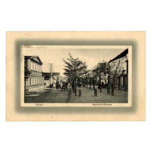 Estonia - Tartu, street (2400)