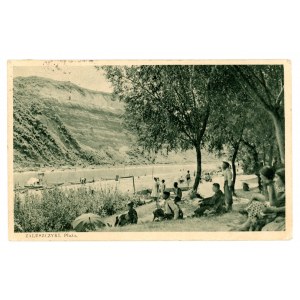 Zaleszczynki - Beach (2402)