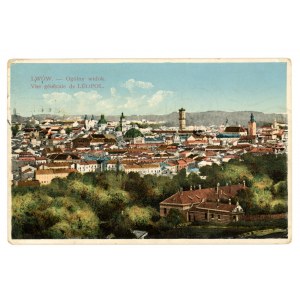 Lvov - Celkový pohled (2461)