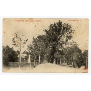 Bialowieza - View of the road and obelisk, 1944 (382)