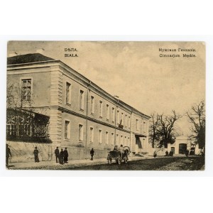 Biala Podlaska - Male Gymnasium (540)