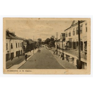 Hrubieszów - Ul. St. Staszica (553)