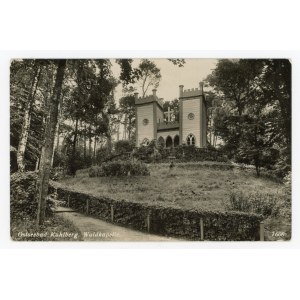 Krynica Morska - Kurort (588)