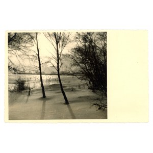 Dziwnów / Dievenow - plaża (1253)