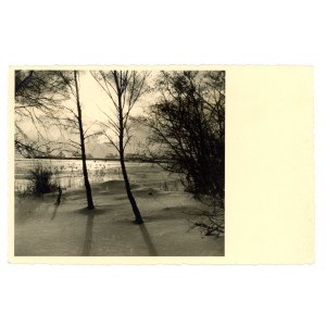 Dziwnow / Dievenow - beach (1254)