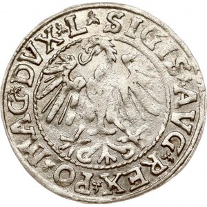 Lithuania Polgrosz 1546 Vilnius Type