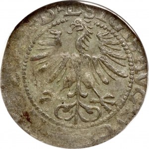 Lithuania Polgrosz 1564 Vilnius ECC XF 40