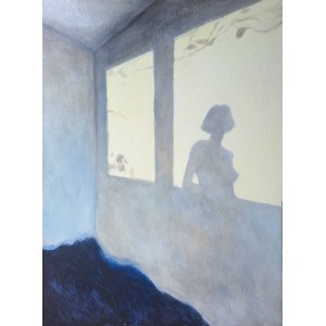 Julia Blaszczyk, Wandering Window