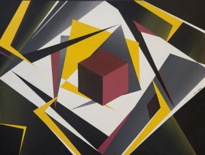 Jean-Claude Plewniak, The Cube, 2014