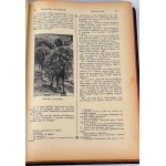 PISMO ŚWIĘTE STAREGO I NOWEGO TESTAMENTU wg. przekładu J. WUJKA 1000 ilustracji Tom I-III [komplet] PIĘKNA OPRAWA