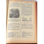 PISMO ŚWIĘTE STAREGO I NOWEGO TESTAMENTU wg. przekładu J. WUJKA 1000 ilustracji Tom I-III [komplet] PIĘKNA OPRAWA