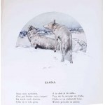 KONOPNICKA - NOWE LATKO Z RYSUNKAMI P. STACHIEWICZA