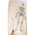 BREYER - WIELKI LEKARZ DOMOWY
