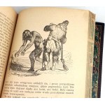 DEFOE - PRZYPADKI ROBINSONA KRUZOE ilustr. Grandville'a wyd.1954r.
