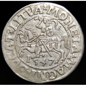 Sigismund II. Augustus, Halbpfennig 1547, Wilna - LI/LITVA