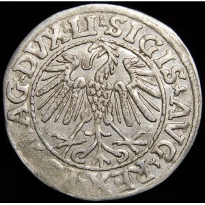 Sigismund II. Augustus, Halbpfennig 1547, Wilna - LI/LITVA