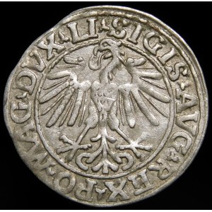 Sigismund II Augustus, Halbpfennig 1548, Wilna - Römer I, LI/LITVA