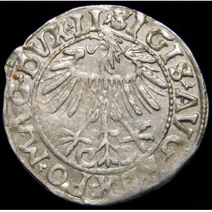 Zygmunt II August, Półgrosz 1557, Wilno - LI/LITVA