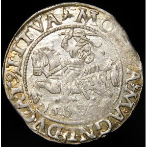 Sigismund II Augustus, Halbpfennig 1560, Vilnius - DVX L/LITV - Rosette - selten