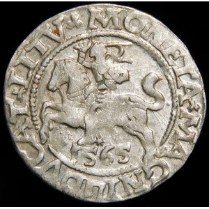 Sigismund II Augustus, Halbergroschen 1565, Wilna - 22 Pogon, Axt, L/LITV