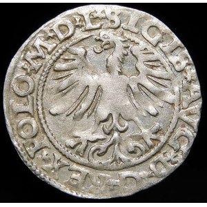 Sigismund II Augustus, Halbergroschen 1565, Wilna - 22 Pogon, Axt, L/LITV