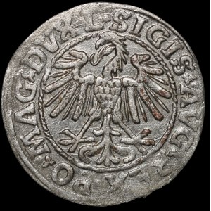 Sigismund II Augustus, Halbpfennig 1548, Wilna - Römer I, L/LITVA - selten