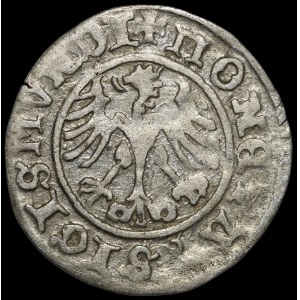 Zygmunt I Stary, Półgrosz 1511, Kraków
