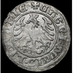 Sigismund I the Old, Half-penny 1509, Vilnius - Pogon with scabbard - rare