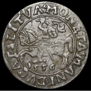 Sigismund II Augustus, Half-penny 1556, Vilnius - LI/LITVA - MANI error - rare