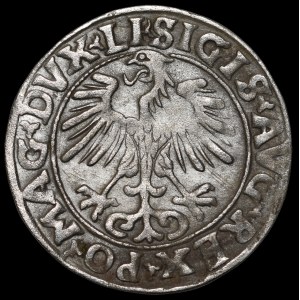 Sigismund II Augustus, Half-penny 1556, Vilnius - LI/LITVA - MANI error - rare
