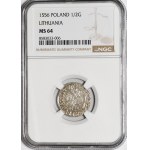 Sigismund II Augustus, Halbpfennig 1556, Wilna - L/LITVA - schön