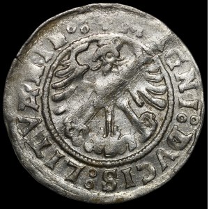 Sigismund I the Old, Half-penny 1519, Vilnius - 6 feathers - error, SIGISMVNID and mirrored D - very rare