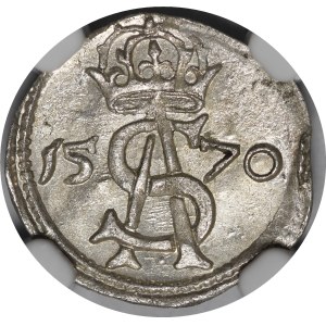 Sigismund II Augustus, Dwudenar 1570, Vilnius - beautiful