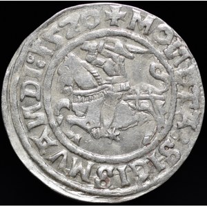 Sigismund I the Old, Half-penny 1520, Vilnius - SIGISMVANDI error, punctuation - three dot - rare and beautiful