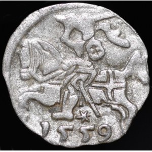 Sigismund II Augustus, Denarius 1559, Vilnius