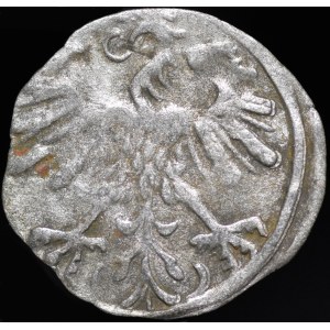 Sigismund II Augustus, Denarius 1559, Vilnius
