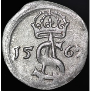 Sigismund II Augustus, Dwudenar 1567, Vilnius