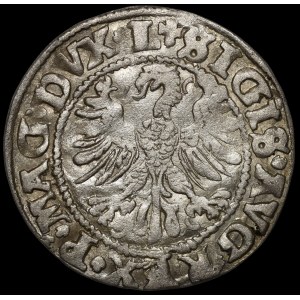 Sigismund II Augustus, Half-penny 1546, Vilnius - older Eagle type - L/LITV