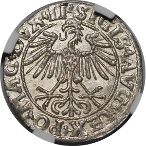 Sigismund II Augustus, Halbpfennig 1550, Wilna - LI/LITVA - schön