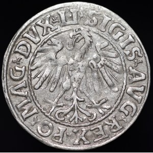 Sigismund II Augustus, Halbpfennig 1547, Vilnius - älterer Pogon-Typ - LI/LITVA - selten