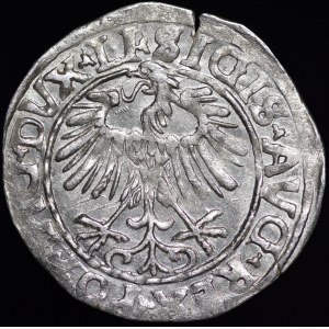 Zygmunt II August, Półgrosz 1556, Wilno - LI/LITVA - wariant