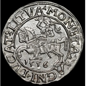 Sigismund II Augustus, halber Pfennig 1556, Vilnius - LI/LITVA - schön