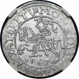 Sigismund II Augustus, Halbpfennig 1557, Wilna - LI/LITV - schön