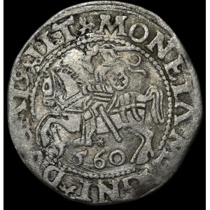 Sigismund II Augustus, Halbpfennig 1560, Vilnius - DVX L/LIT - A ohne Querbalken - selten
