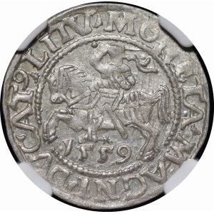 Sigismund II Augustus, Halbpfennig 1559, Wilna - L/LITV - schön