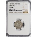 Sigismund II Augustus, Halbpfennig 1559, Wilna - L/LITV - schön
