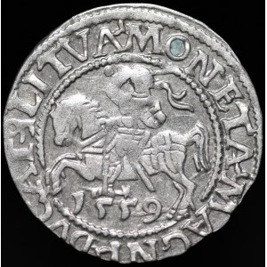 Sigismund II. Augustus, Halbergroschen 1559, Wilna - LI/LITVA