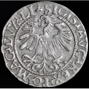 Sigismund II. Augustus, Halbergroschen 1559, Wilna - LI/LITVA